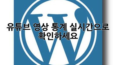 유튜브 영상 통계, 실시간으로 확인하세요!