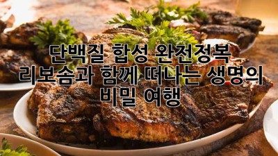 단백질 합성 완전정복💪 리보솜과 함께 떠나는 생명의 비밀 여행 🧬