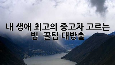 내 생애 최고의 중고차 고르는 법! ✨ 꿀팁 대방출